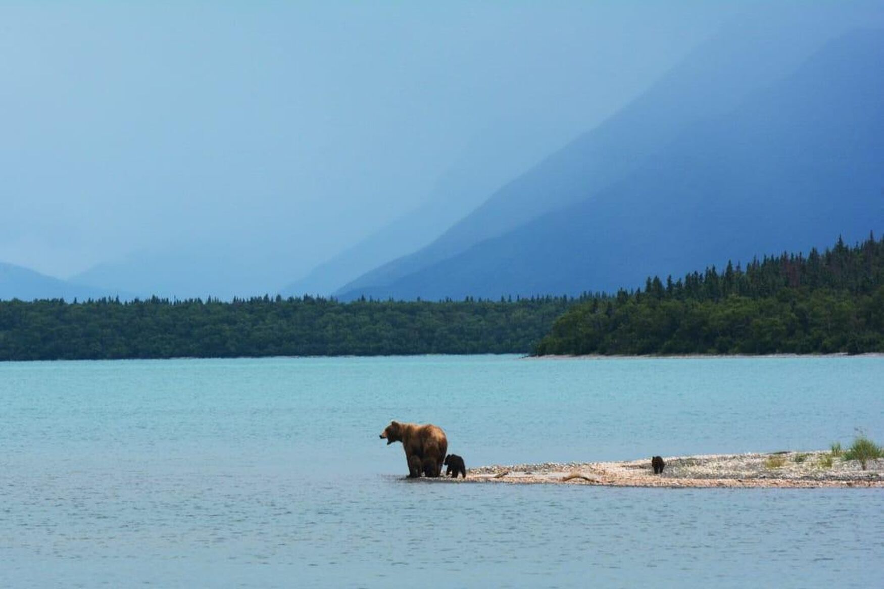 National Park hero